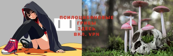 спайс Алзамай