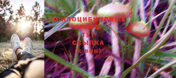 прущие грибы Алексеевка