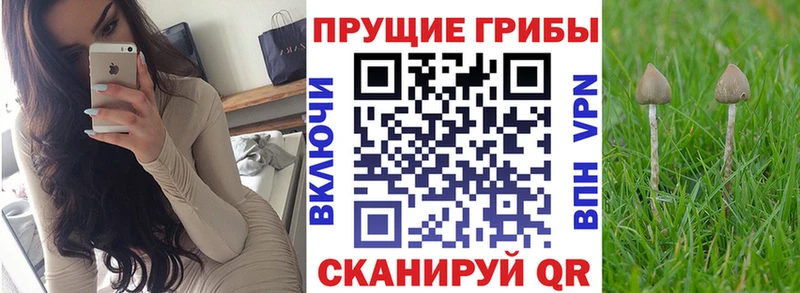 Псилоцибиновые грибы Psilocybine cubensis  кракен как войти  Тюкалинск 
